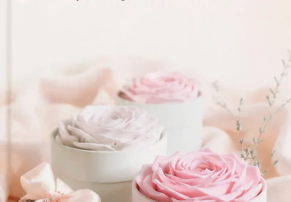 Rosboxar: Complete Long-Tail Guide to Elegant Rose Boxes for Gifting and Home Décor